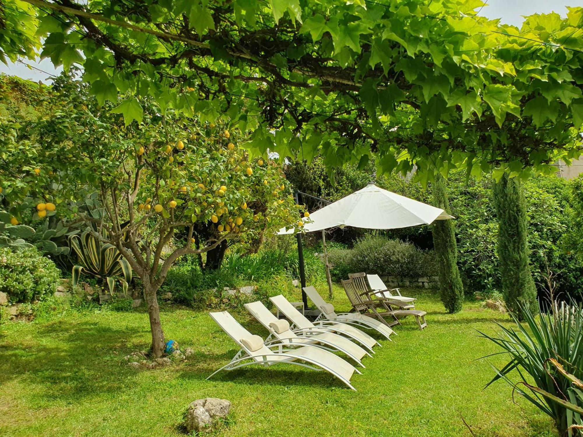 La Villa Guidi Pila-Canale Exterior photo